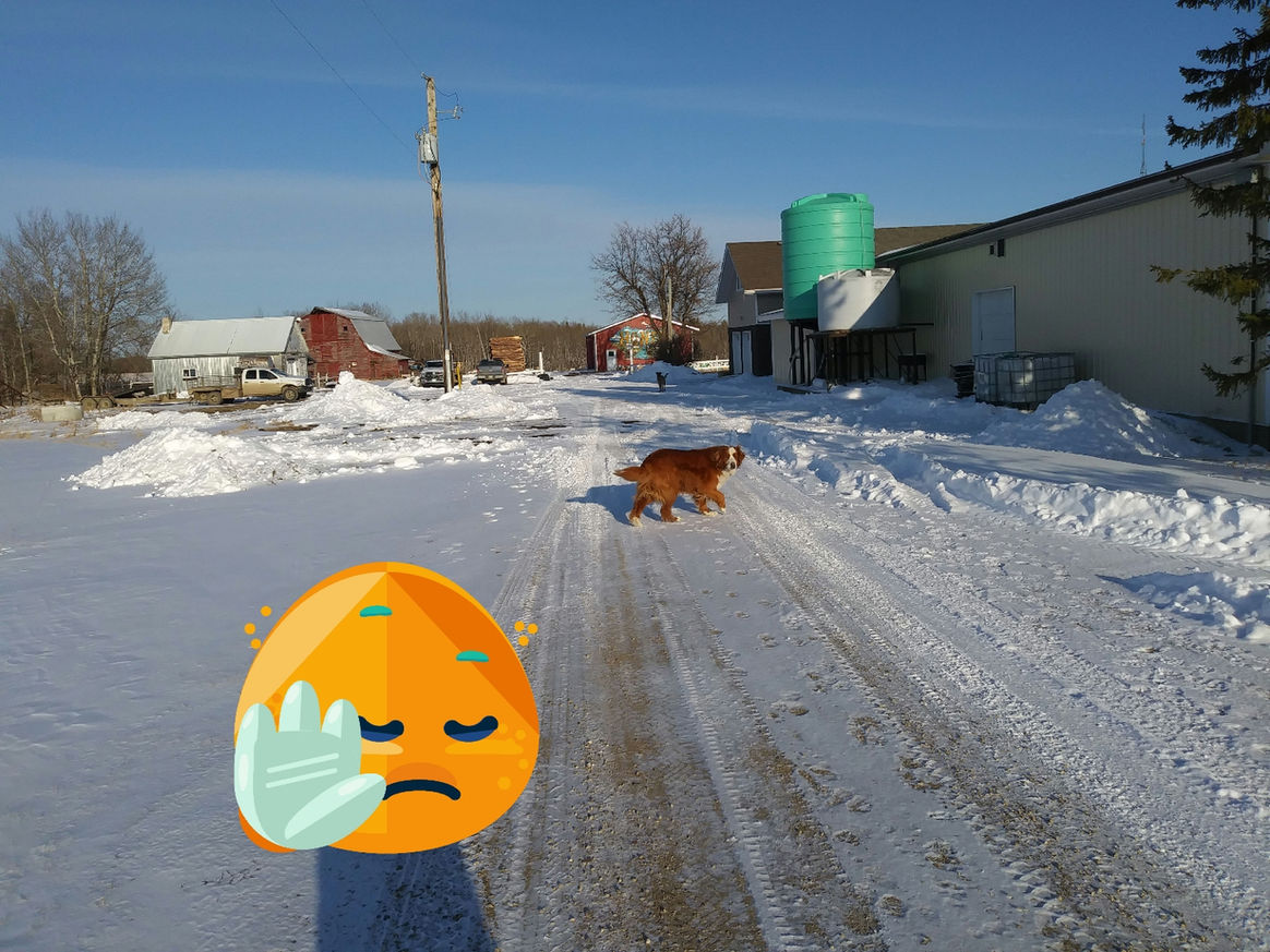 2021 Season photo 16